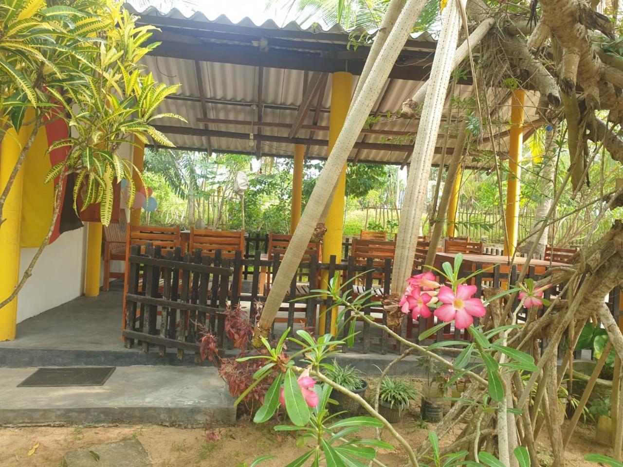 Beach Lagoon Guesthouse 坦加拉 外观 照片