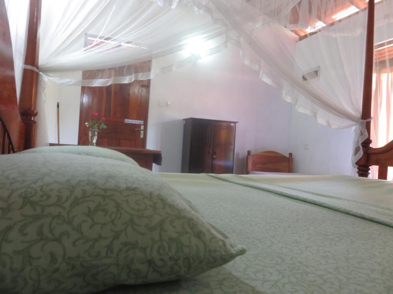 Beach Lagoon Guesthouse 坦加拉 外观 照片