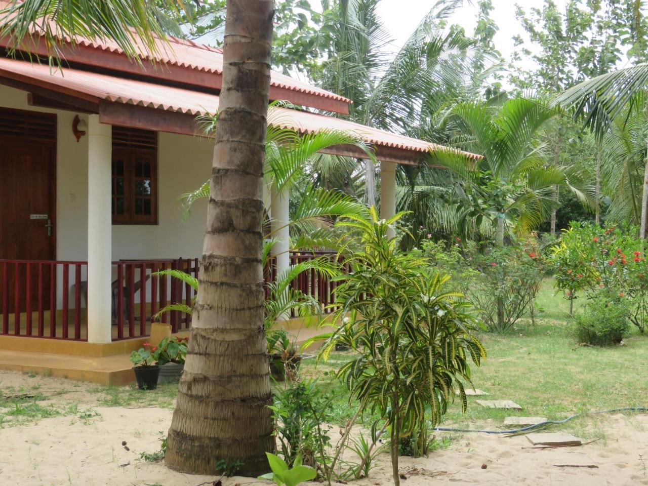 Beach Lagoon Guesthouse 坦加拉 外观 照片