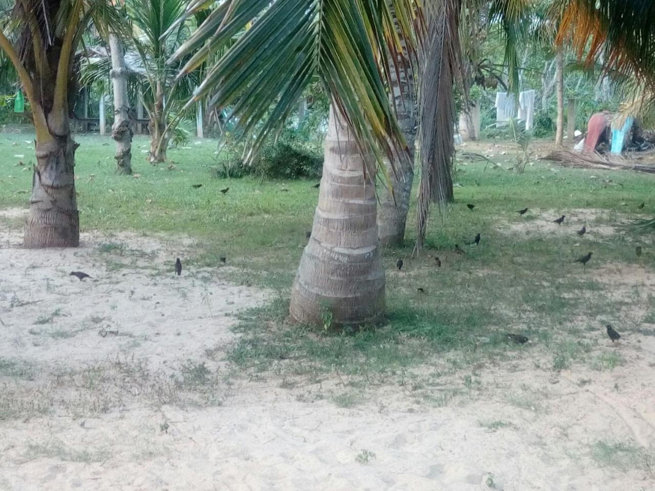Beach Lagoon Guesthouse 坦加拉 外观 照片